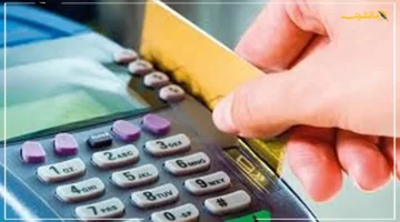 فتح باب إضافة المواليد على البطاقات التموينية قريبا.. اعرف التفاصيل